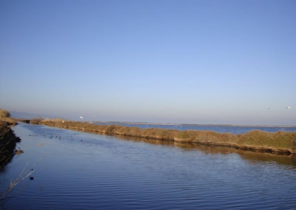 Laguna Orbetello