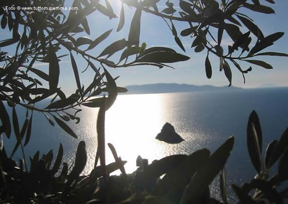 Panorama sull'isola del Giglio