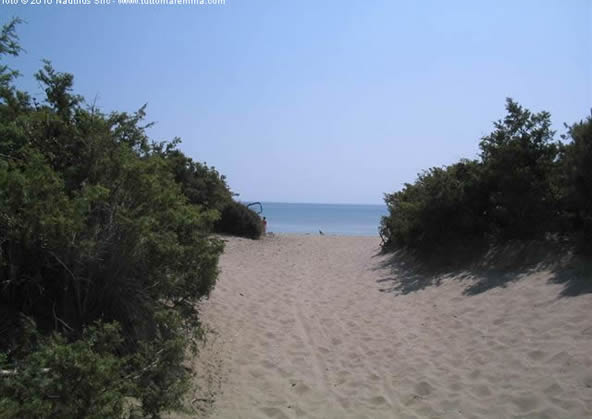 Orbetello spiagge - spiaggia Feniglia