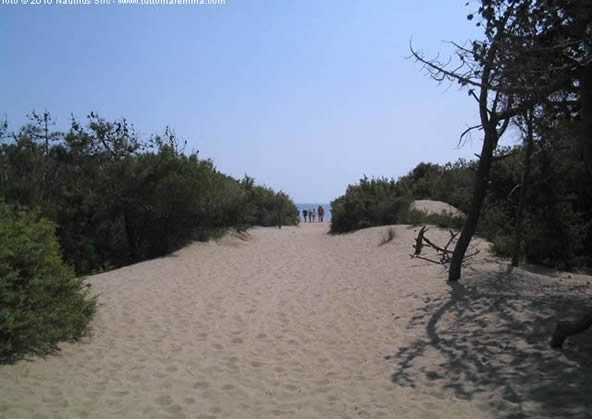 Orbetello spiagge - spiaggia Feniglia